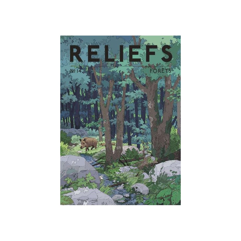 Reliefs N°14 : Forets