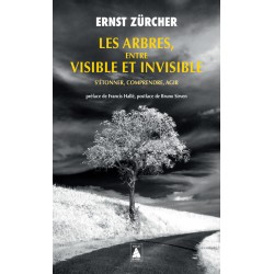 Les arbres, entre visible et invisible – Ernst Zucher