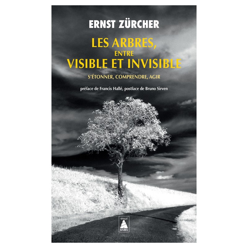 Les arbres, entre visible et invisible – Ernst Zucher