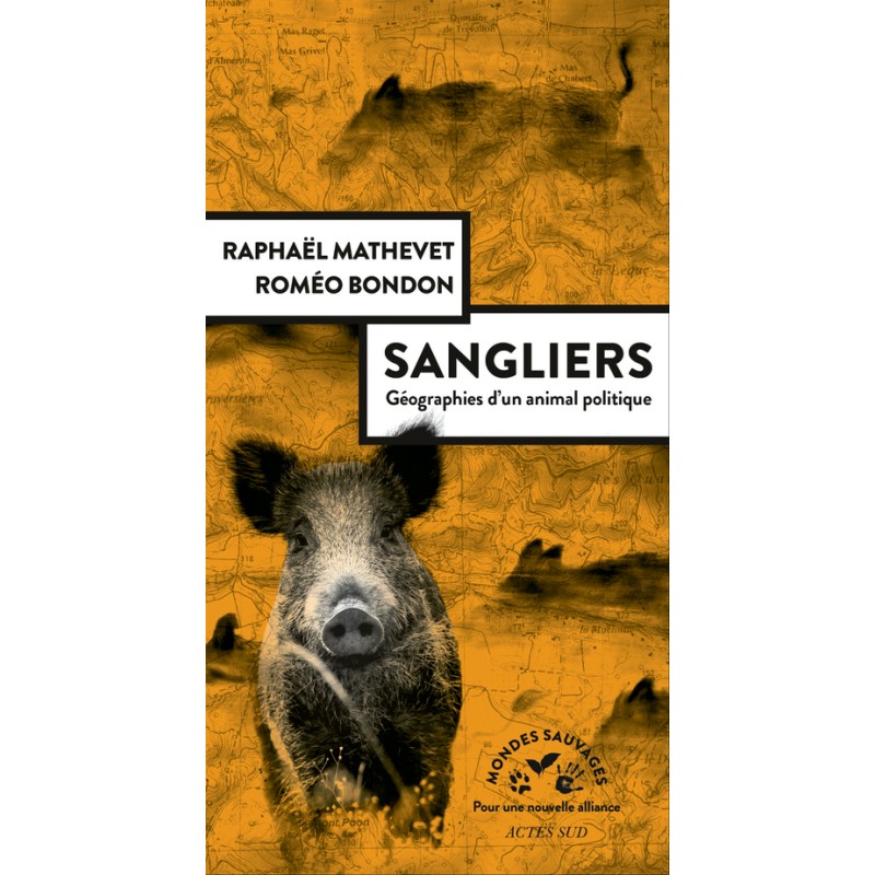 Sangliers, géographie d'un animal politique - Raphael Mathevet & Roméo Bondon