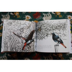 Z'oiseaux de jardin - Christine Flament