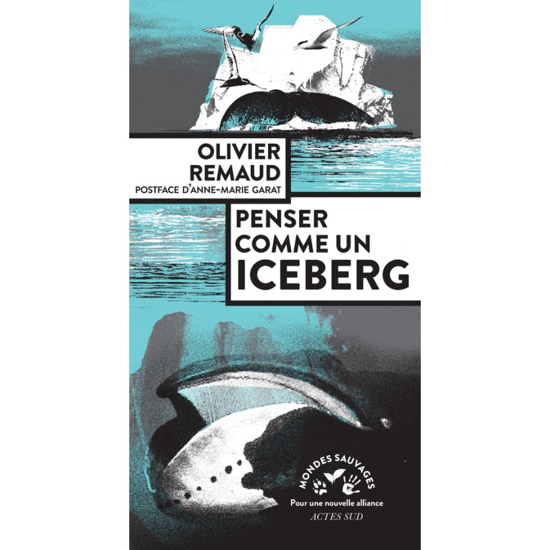 Penser comme un iceberg - Olivier Remaud